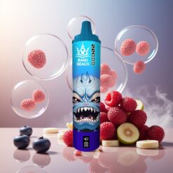Bang Beach 22000 Puffs Norge Engros 36ml 650mAh Blåbær Bringebær