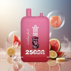 Bang King 25000 Puffs Norge Engros Vannmelon Is Dual Pod 46ml 650mAh Type-C