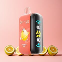 ELF BAR RAYA 25000 Puffs Norge Engros Oppladbar Vannmelon Sitron Type-C Skjerm 23ml 5%