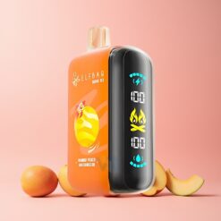ELF BAR RAYA D3 25000 Puffs Norge Engros Oppladbar 850mAh Type-C Mango Fersken Vannmelon