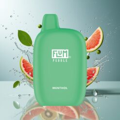 FLUM Pebble 6000 10ml 5% Nikotin 500mAh Type-C Norge Engros Mentol