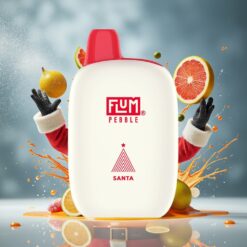 FLUM Pebble 6000 Norge Engros 10ml 5% 500mAh Mesh Coil Type-C Lader