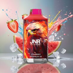 JNR Falcon 16000 Puffs 850mAh 22ml Dual Mesh Coil Type C Norge Engros Jordbær Vannmelon Is