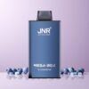 JNR Mega Box 25000 Puffs Norge Engros 30ml 850mAh Dual Mesh Blåbær Is