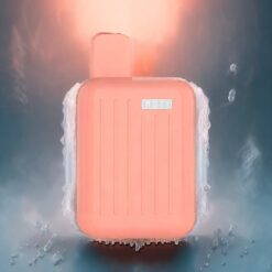 MOTI CASE 4000 Engangs Vape Fersken Is Norge Engros 10mL 50mg/mL 1200mAh