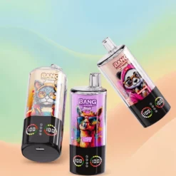 Bang Leader 100K Engangs-Vape 4-i-1 Byttbare Smaker Type-C LED Norge Engros