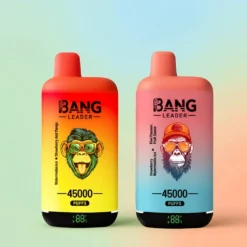 Bang Leader 45K 45000 drag 2-i-1 dobbel smak smartskjerm oppladbar Norge Engros
